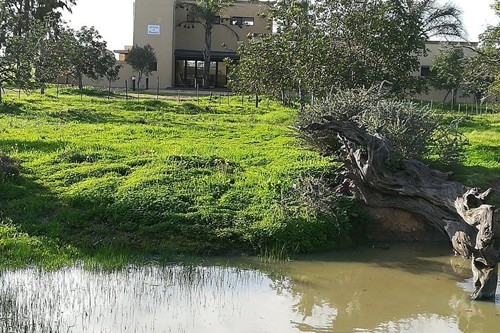 Famr and Vineyard (1)